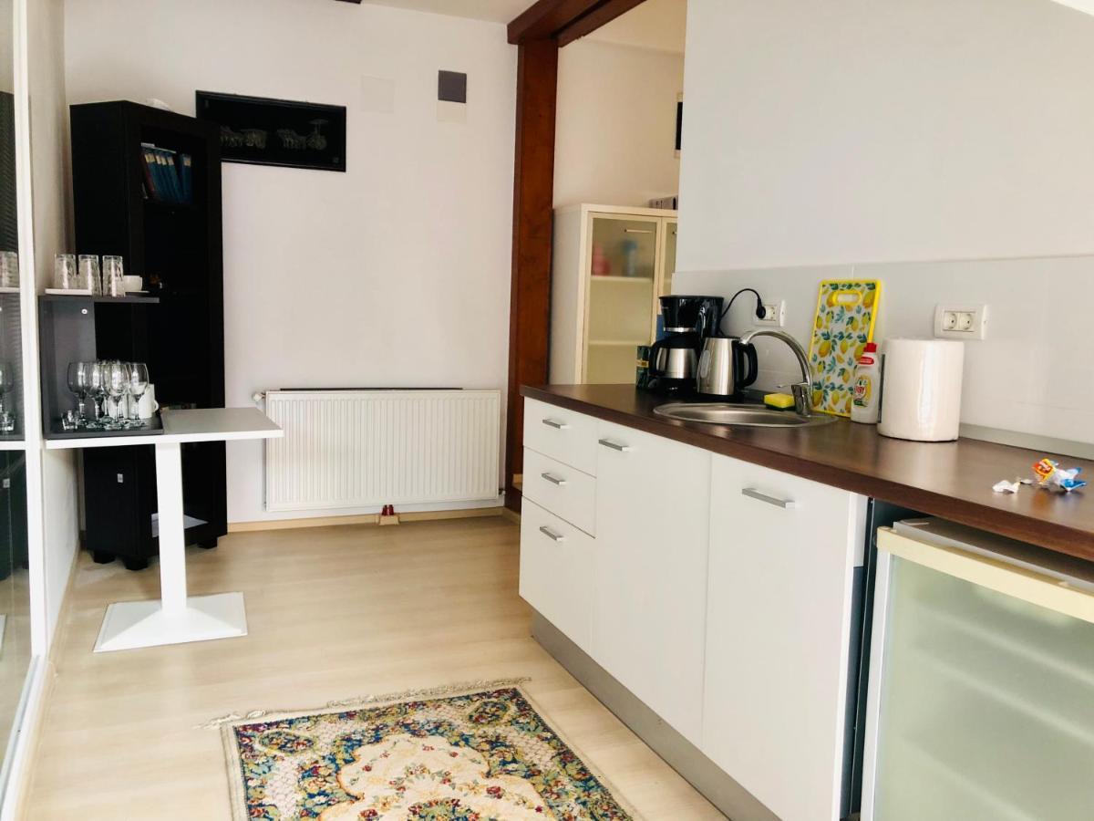 Ultra-central Modern And Big In Union Square U41-u44 Apartment Timişoara